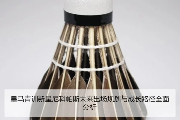 皇马青训新星尼科帕斯未来出场规划与成长路径全面分析