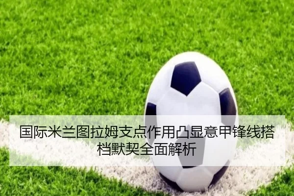 国际米兰图拉姆支点作用凸显意甲锋线搭档默契全面解析