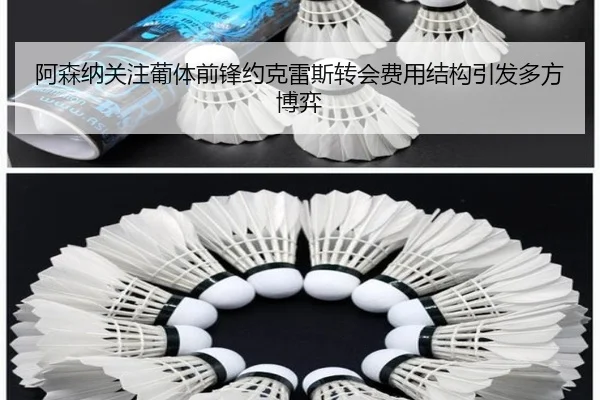 阿森纳关注葡体前锋约克雷斯转会费用结构引发多方博弈